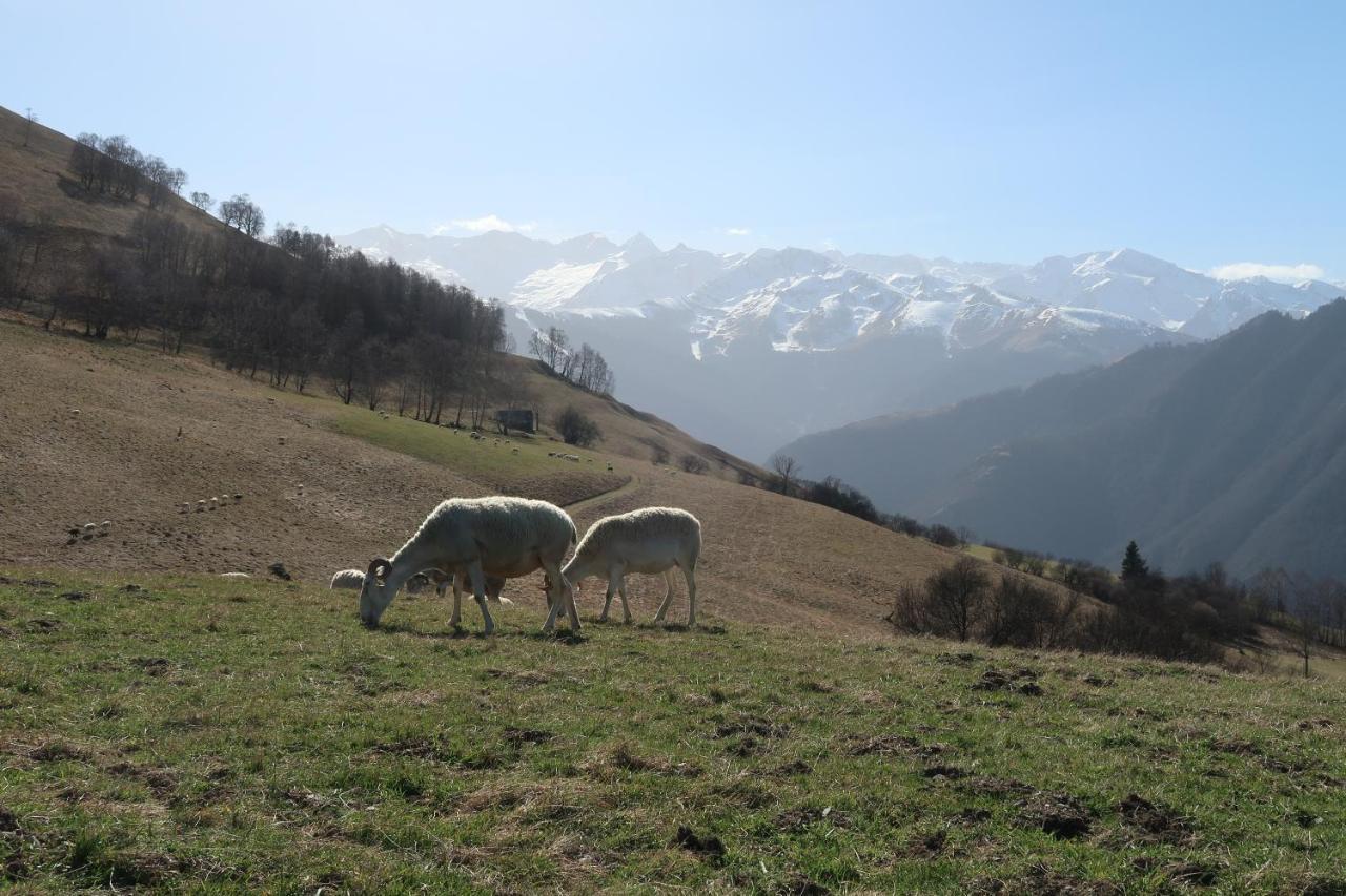 Studio Hyper Centre Lumineux Et Fonctionnel Luchon Bagnères-de-Luchon 외부 사진