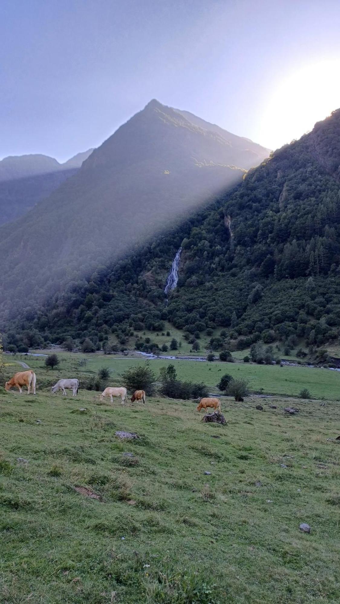 Studio Hyper Centre Lumineux Et Fonctionnel Luchon Bagnères-de-Luchon 외부 사진